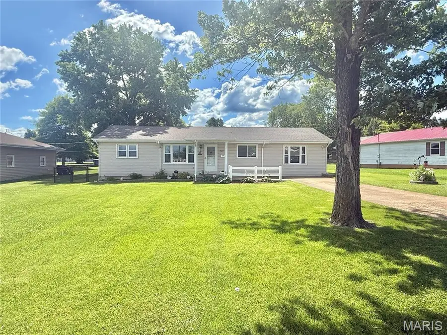 702 N Grant Street, Desloge, MO 63601 - #2