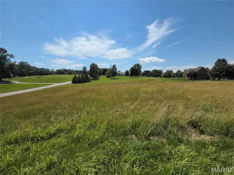 1053 Country Club Lane, Waterloo, IL 62298 - #3