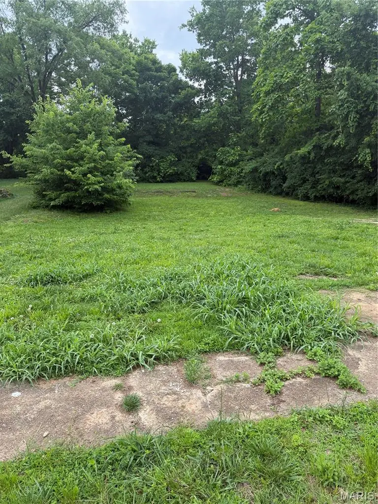507 Field Street, Park Hills, MO 63601 - #2