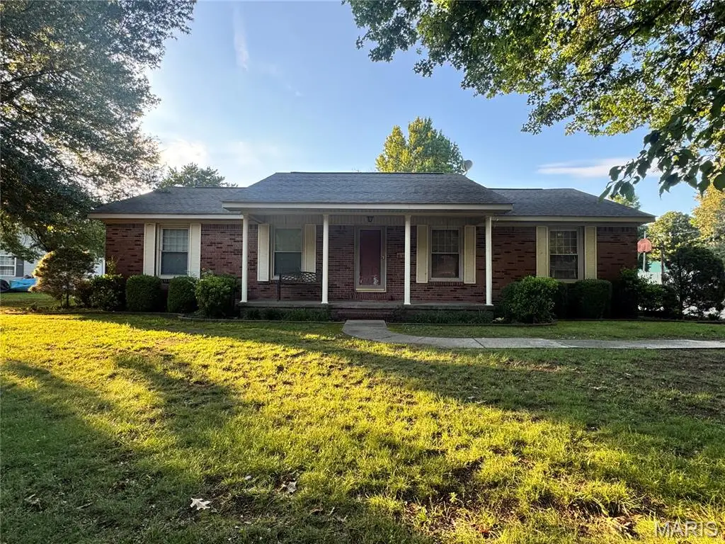 195 Saint Thomas, New Madrid, MO 63869 - #1
