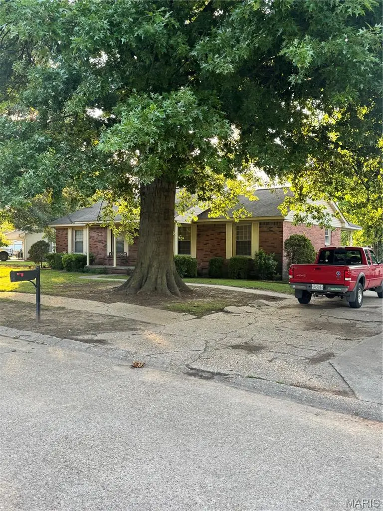 195 Saint Thomas, New Madrid, MO 63869 - #2