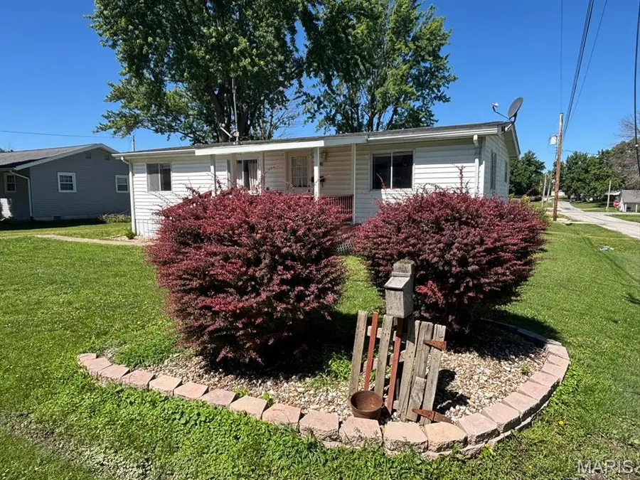 206 Washington Street, Shelbyville, MO 63469 - #2