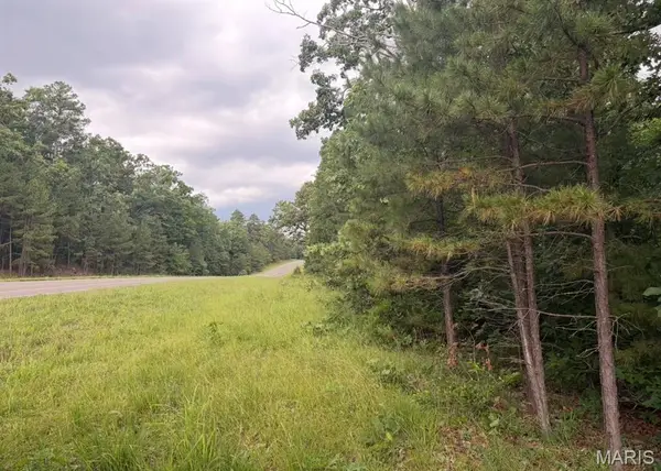 000 Highway 21, Ellington, MO 63638