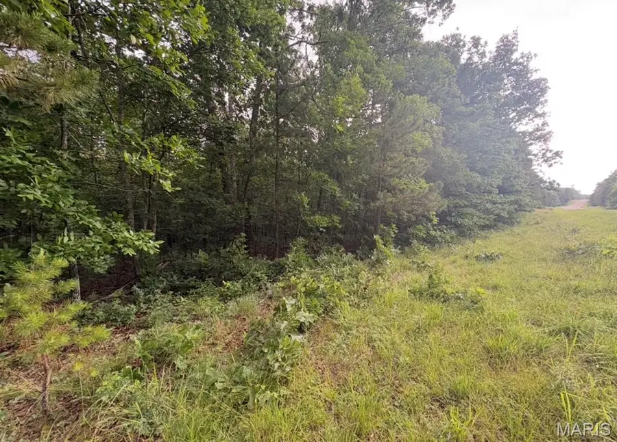 000 Highway 21, Ellington, MO 63638 - #2
