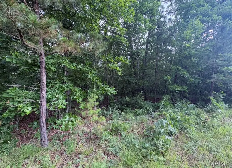 000 Highway 21, Ellington, MO 63638 - #3