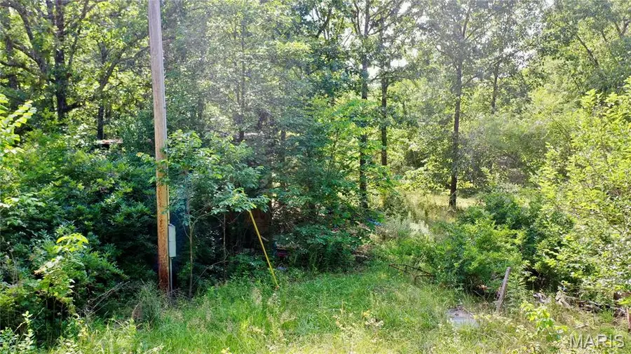 203 County Road 3330, Salem, MO 65560 - #2