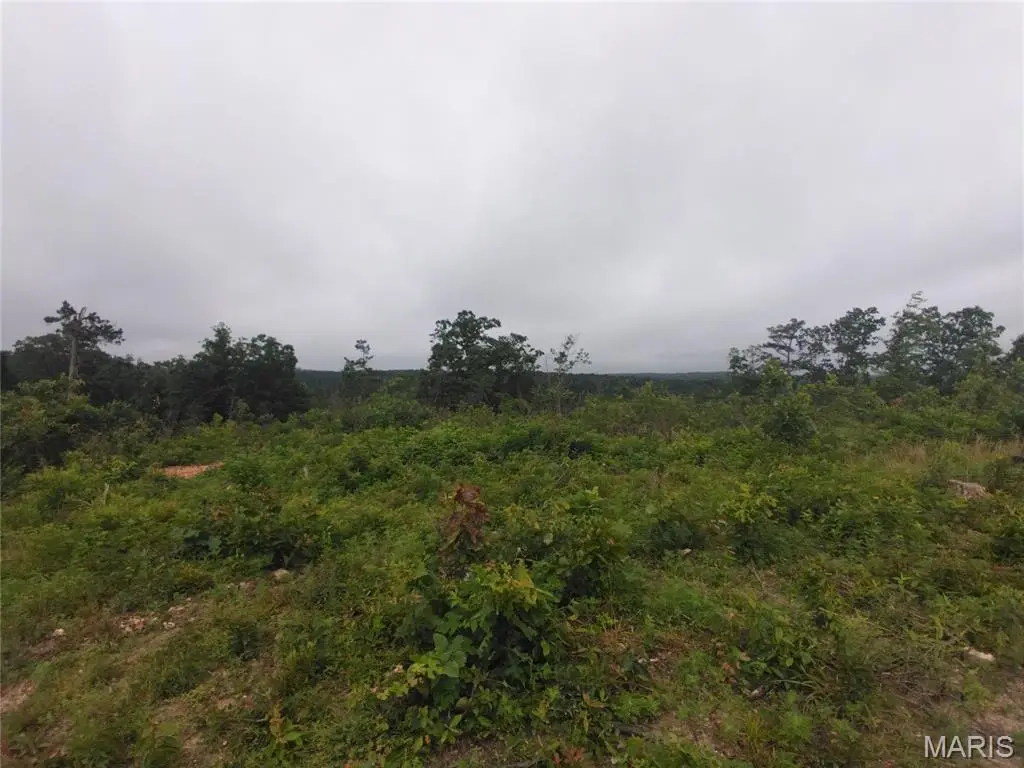 2 Off Hwy O, Belleview, MO 63623 - #1