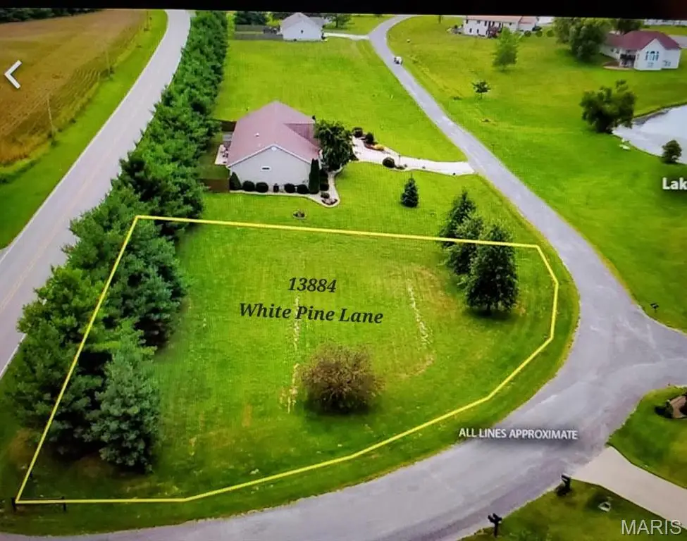 13884 White Pine Lane, Godfrey, IL 62035 - #1