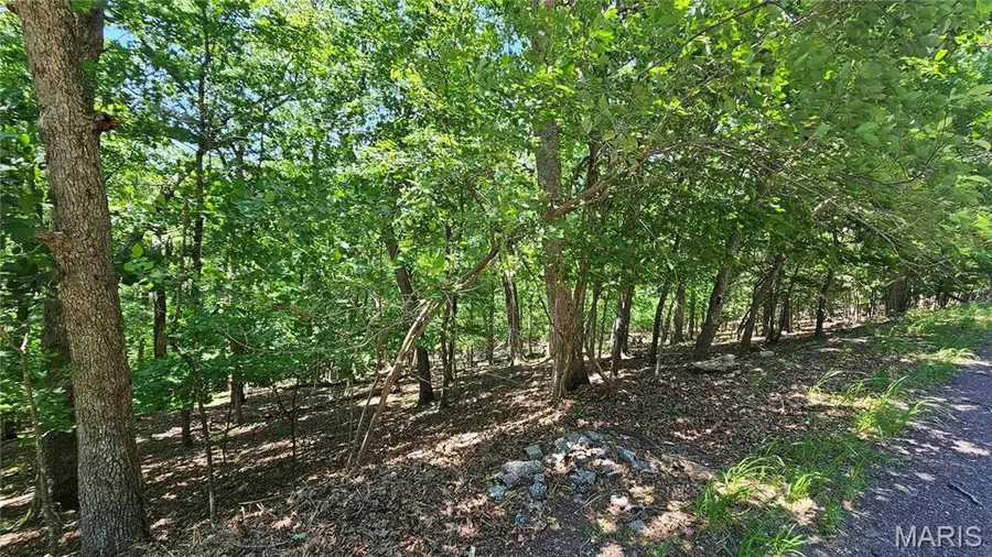 731 Hearthstone Drive, Lake Sherwood, MO 63357 - #2