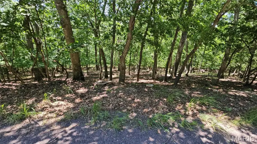 731 Hearthstone Drive, Lake Sherwood, MO 63357 - #3