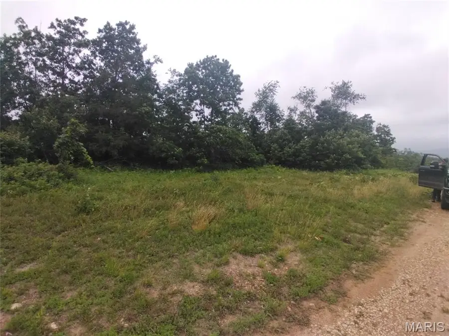 9 Tract 9 Off Highway O, Belleview, MO 63623 - #2