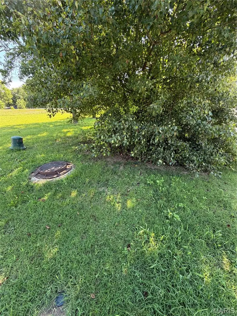 5501 Echo Valley Drive, House Springs, MO 63051 - #3