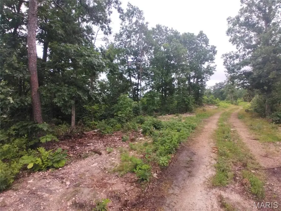5 Tract 5 Off Hwy O, Belleview, MO 63623 - #3