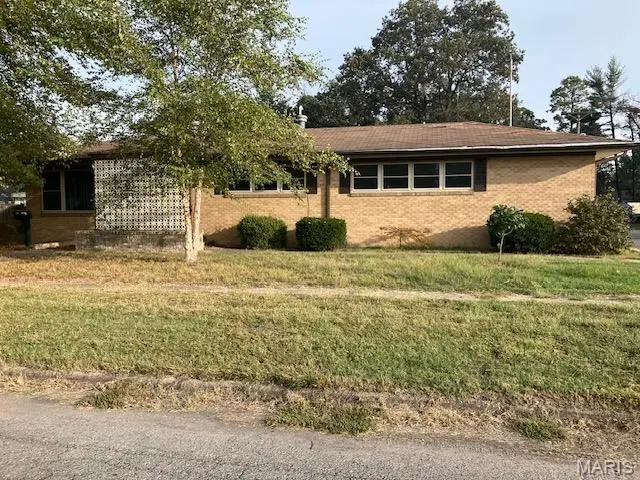 208 W Cleveland Street, Malden, MO 63863 - #1