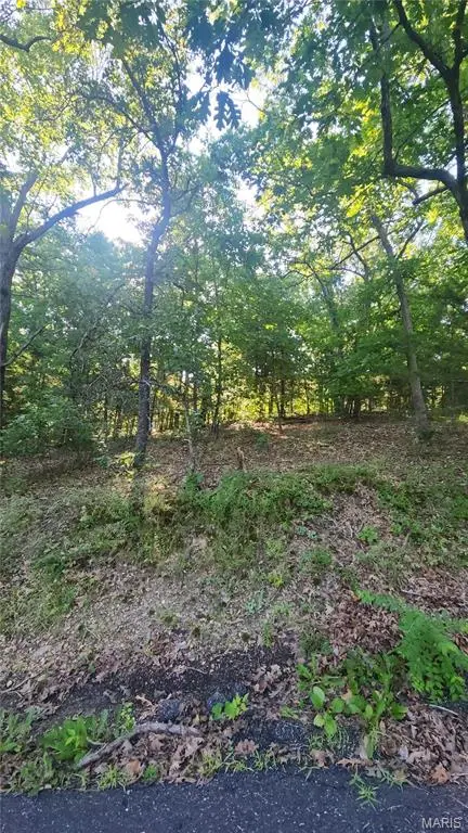 lot 14 E Forest Lane, Owensville, MO 65066 - #1