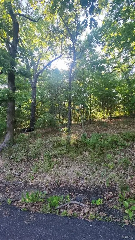 lot 14 E Forest Lane, Owensville, MO 65066 - #3