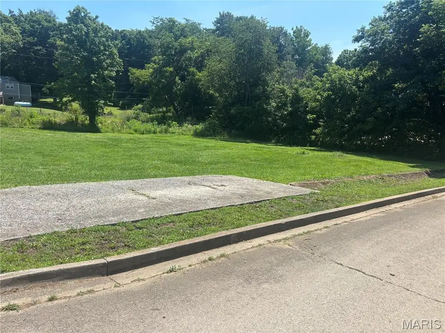319 N Martha Street, Marquand, MO 63655 - #2