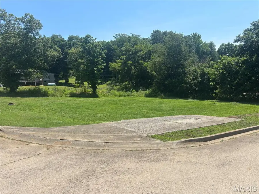 319 N Martha Street, Marquand, MO 63655 - #3