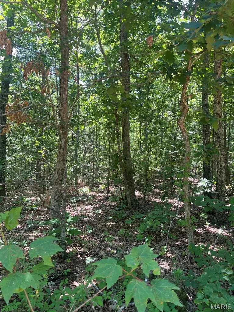1 County Road 750, Centerville, MO 63633 - #1