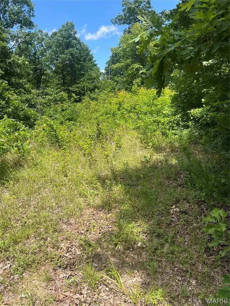 1 County Road 750, Centerville, MO 63633 - #2