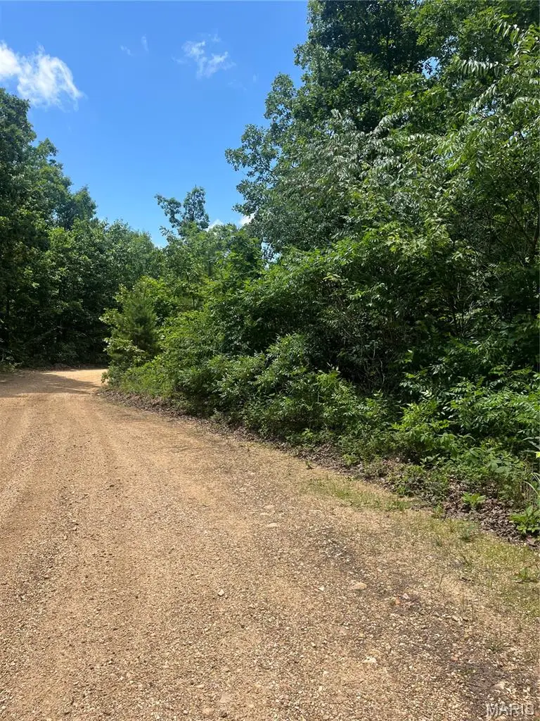 1 County Road 750, Centerville, MO 63633 - #3