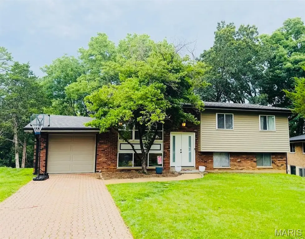 3961 Rodapa Drive, Saint Louis, MO 63125 - #1