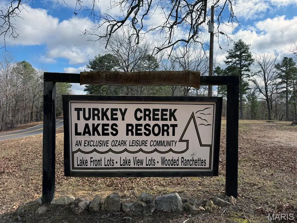 25 Acres, Lowndes, MO 63951 - #1