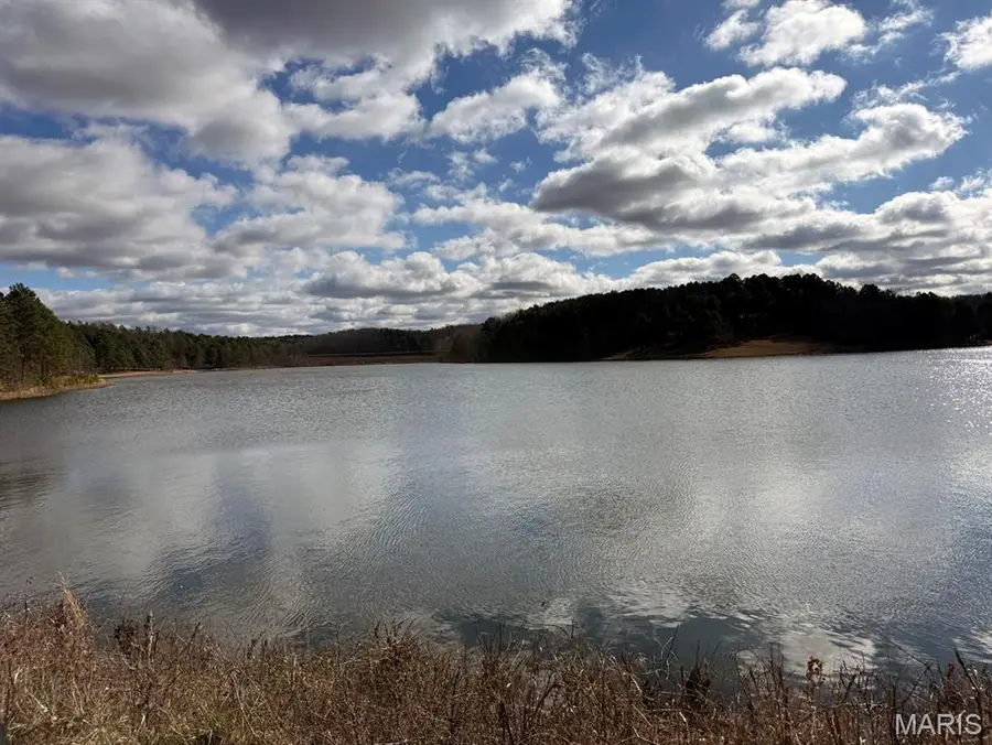 25 Acres, Lowndes, MO 63951 - #3