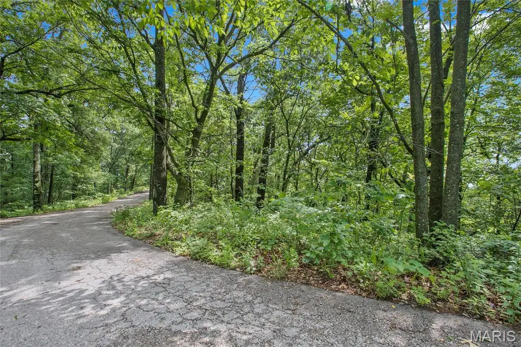 9 acres Clermont Drive, Festus, MO 63028 - #1