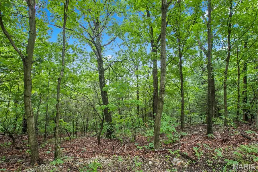 9 acres Clermont Drive, Festus, MO 63028 - #2