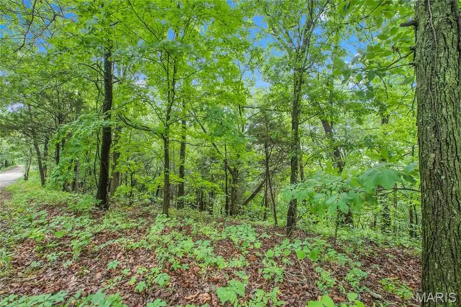 9 acres Clermont Drive, Festus, MO 63028 - #3