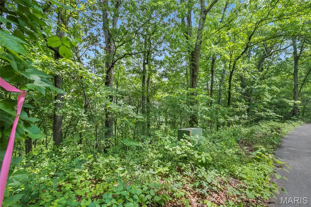 8.5 acres Clermont Drive, Festus, MO 63028 - #1
