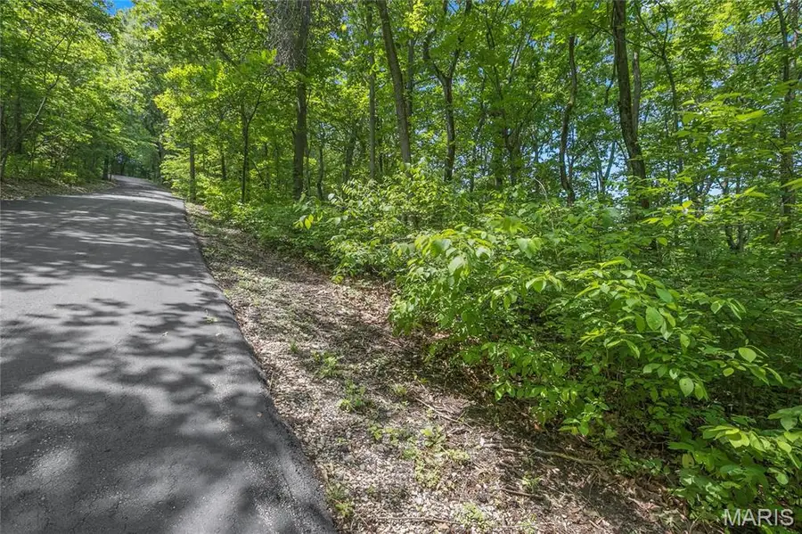 8.5 acres Clermont Drive, Festus, MO 63028 - #3