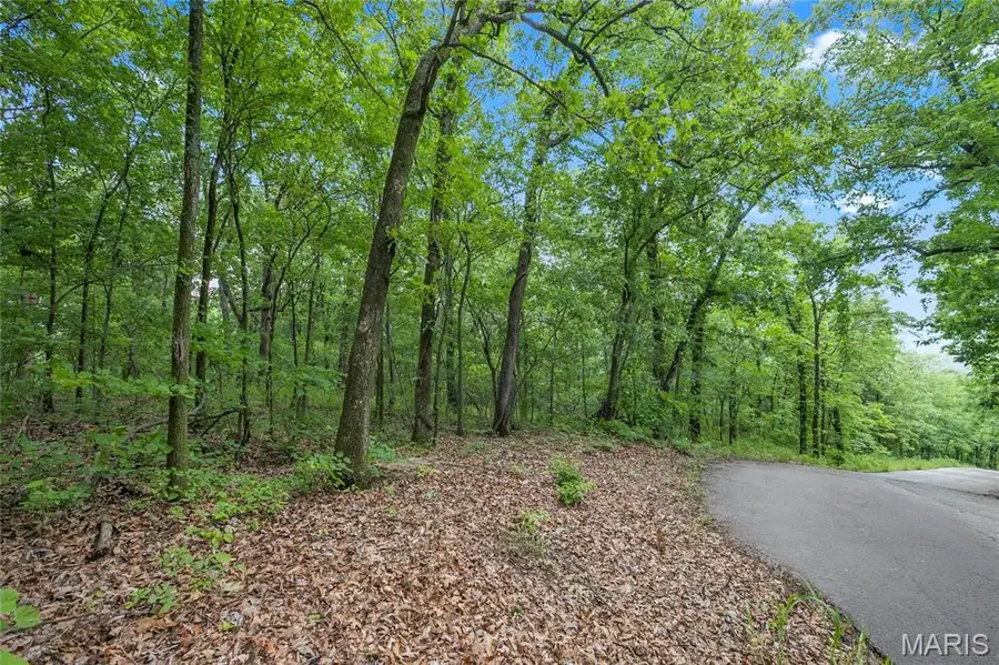 9.41 acres Clermont Drive, Festus, MO 63028 - #2