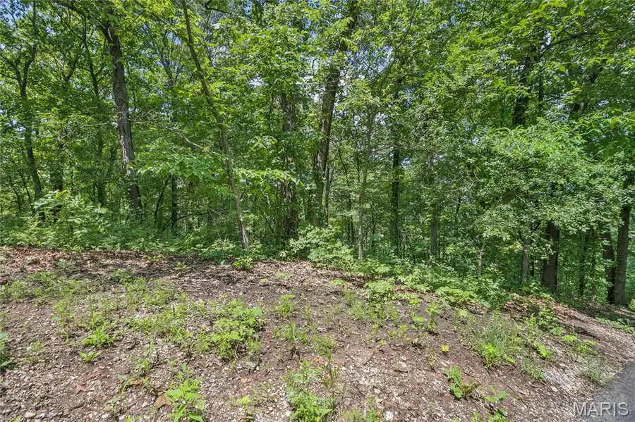 9.41 acres Clermont Drive, Festus, MO 63028 - #3
