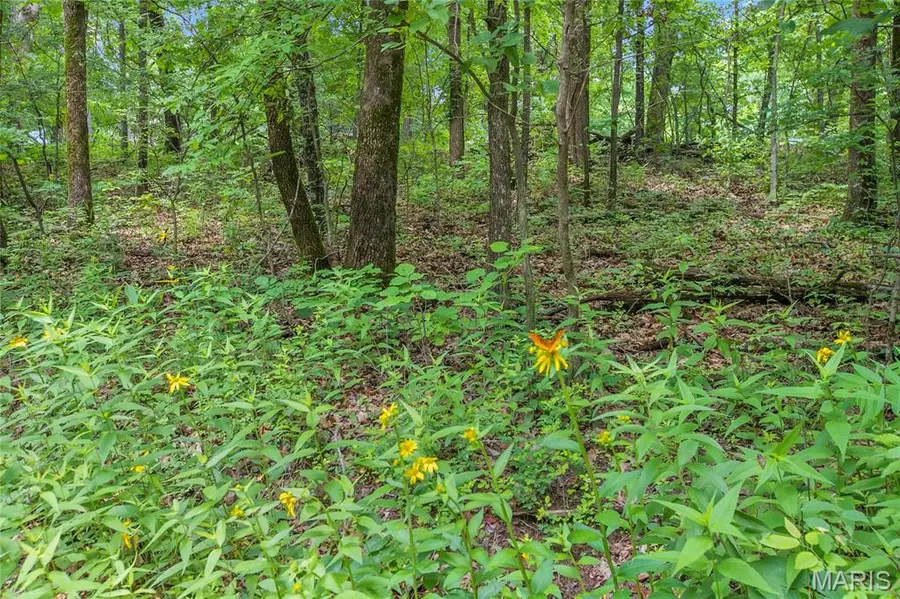 6.26 acres Mississippi Queen Court, Festus, MO 63028 - #2