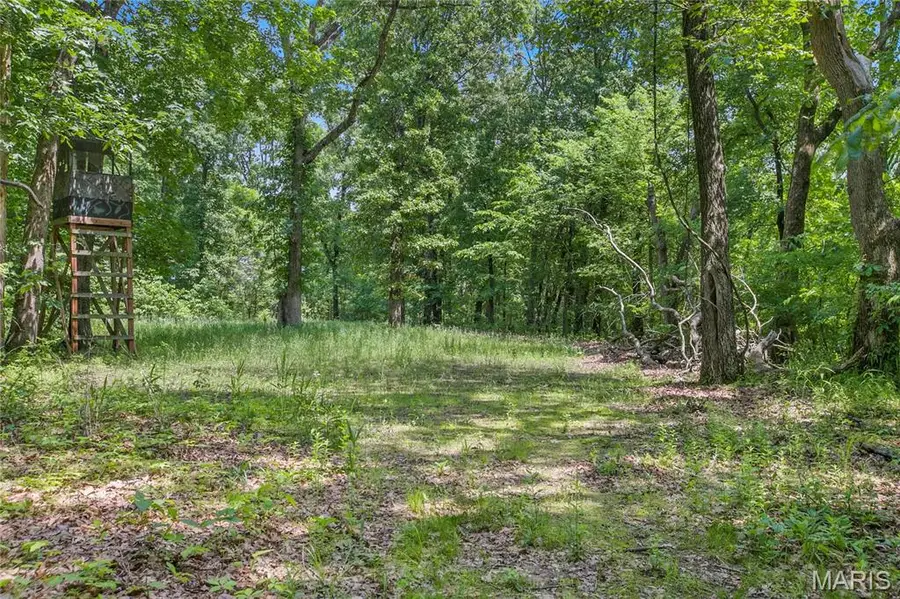 6.26 acres Mississippi Queen Court, Festus, MO 63028 - #3