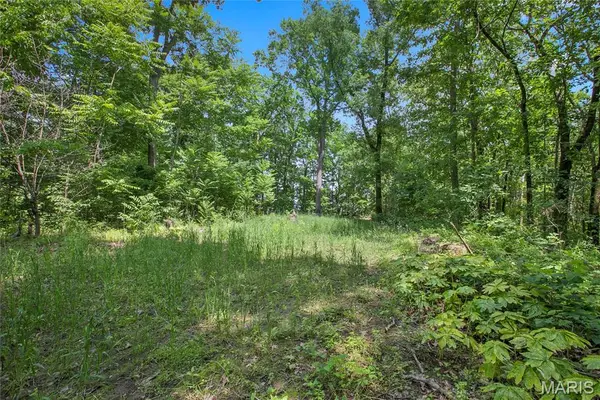 8.75 acres Mississippi Queen Court, Festus, MO 63028