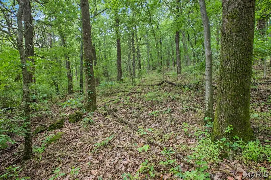 8.75 acres Mississippi Queen Court, Festus, MO 63028 - #2