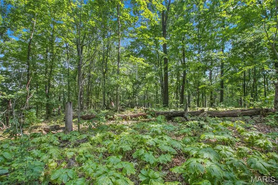 8.75 acres Mississippi Queen Court, Festus, MO 63028 - #3
