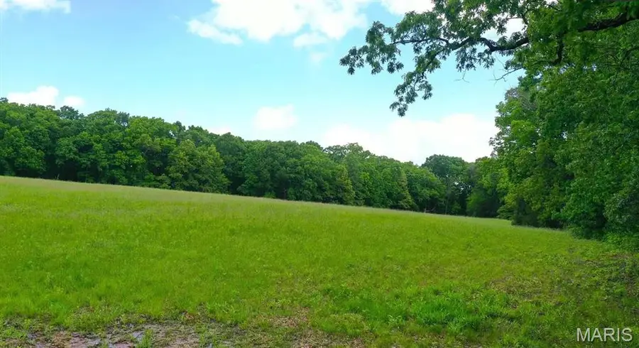219 Hidden Sanctuary Drive, Foristell, MO 63348 - #3