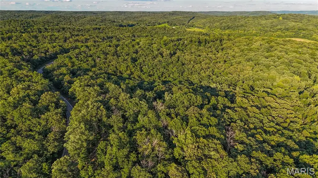 00 State Road 94, Auxvasse, MO 65251 - #1