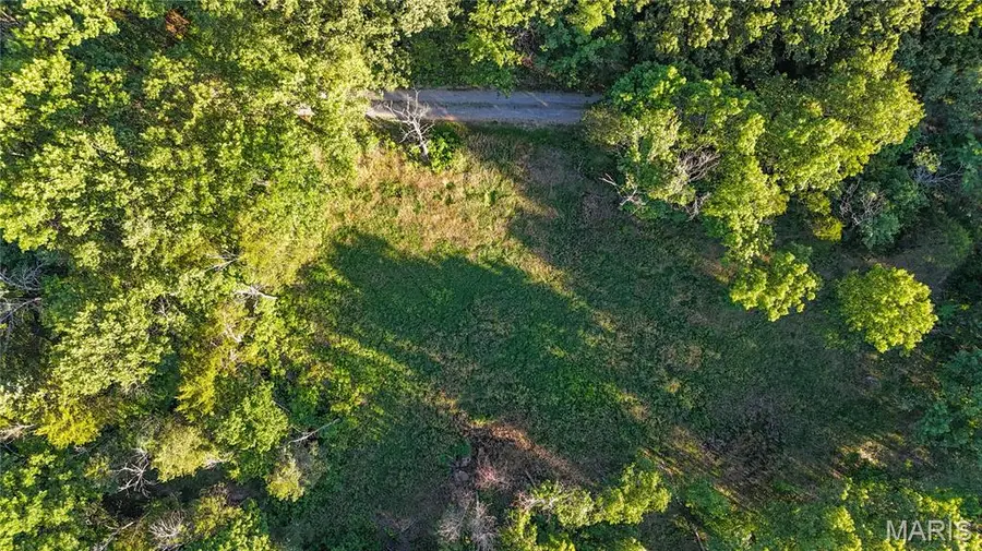 00 State Road 94, Auxvasse, MO 65251 - #2