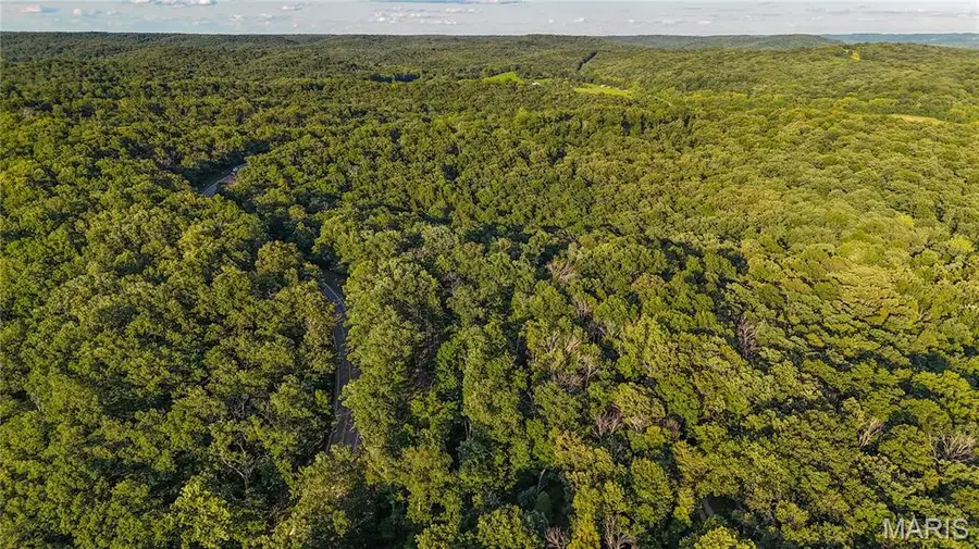 00 State Road 94, Auxvasse, MO 65251 - #3