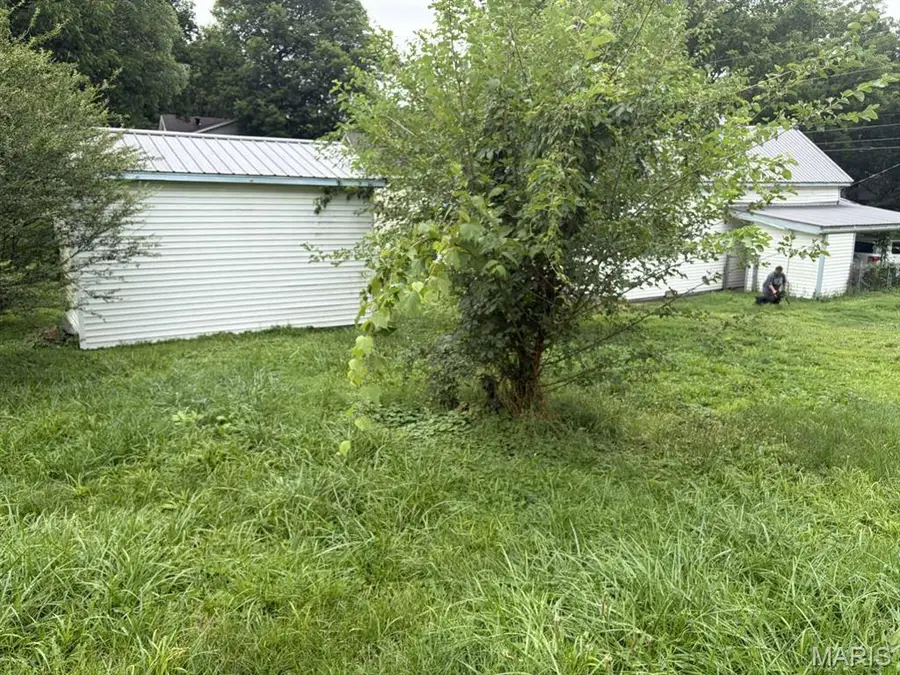 1005 Spring Street, Poplar Bluff, MO 63901 - #3