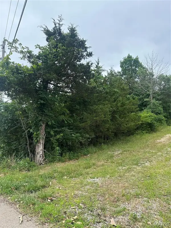 00 Marseilles Drive, Bonne Terre, MO 63628