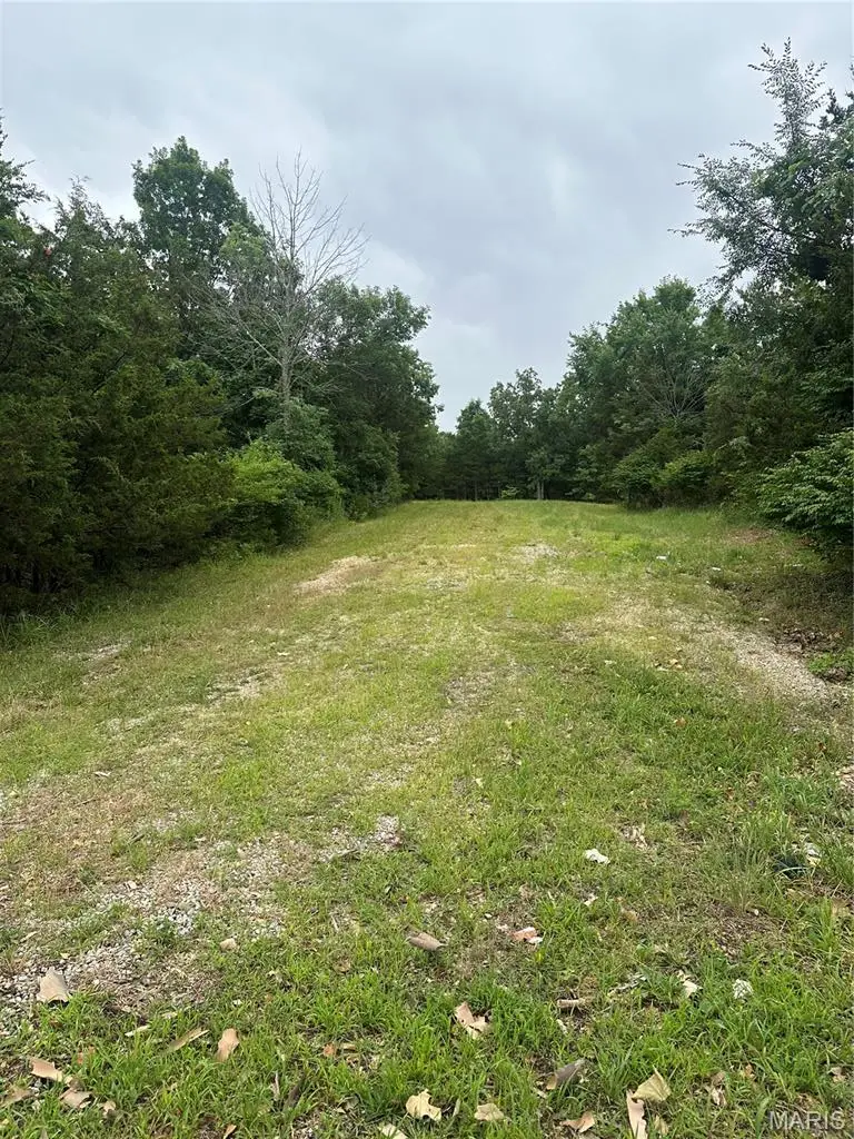 00 Marseilles Drive, Bonne Terre, MO 63628 - #3