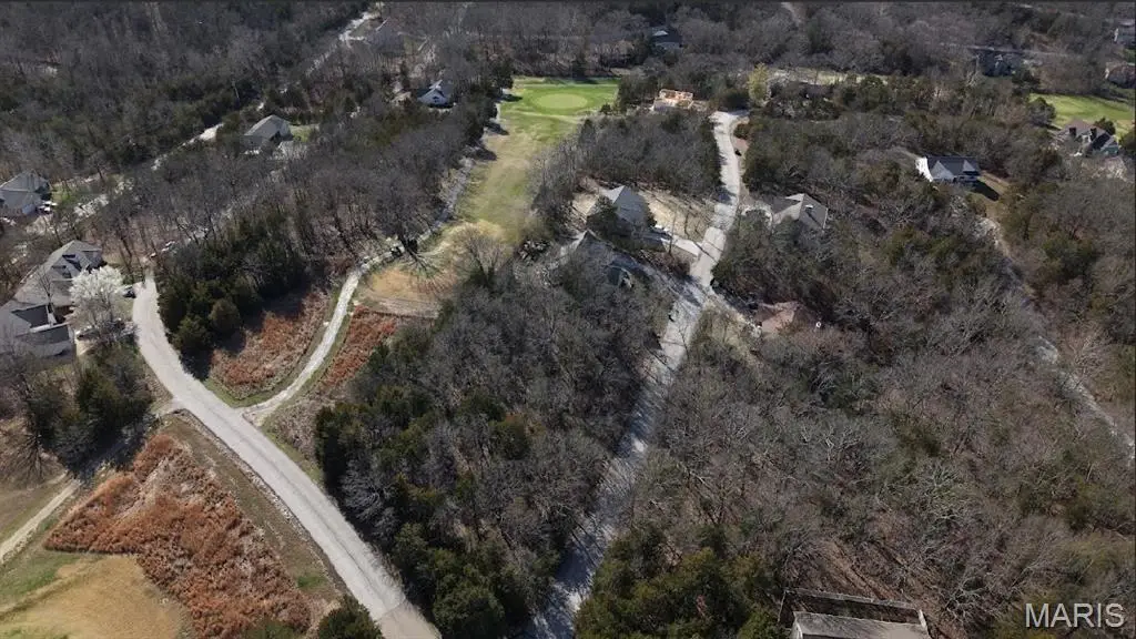 165 Cottonblossom Drive, Hillsboro, MO 63050 - #1
