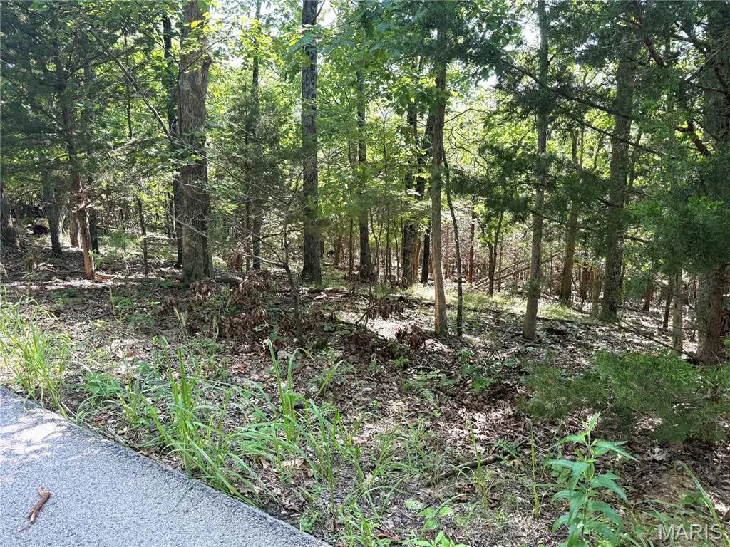 4567 Thunder Ridge Road, Wildwood, MO 63025 - #1