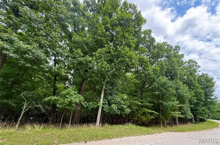 TBD Cornett Branch Road, Village Of Four Seasons, MO 65049 - #3